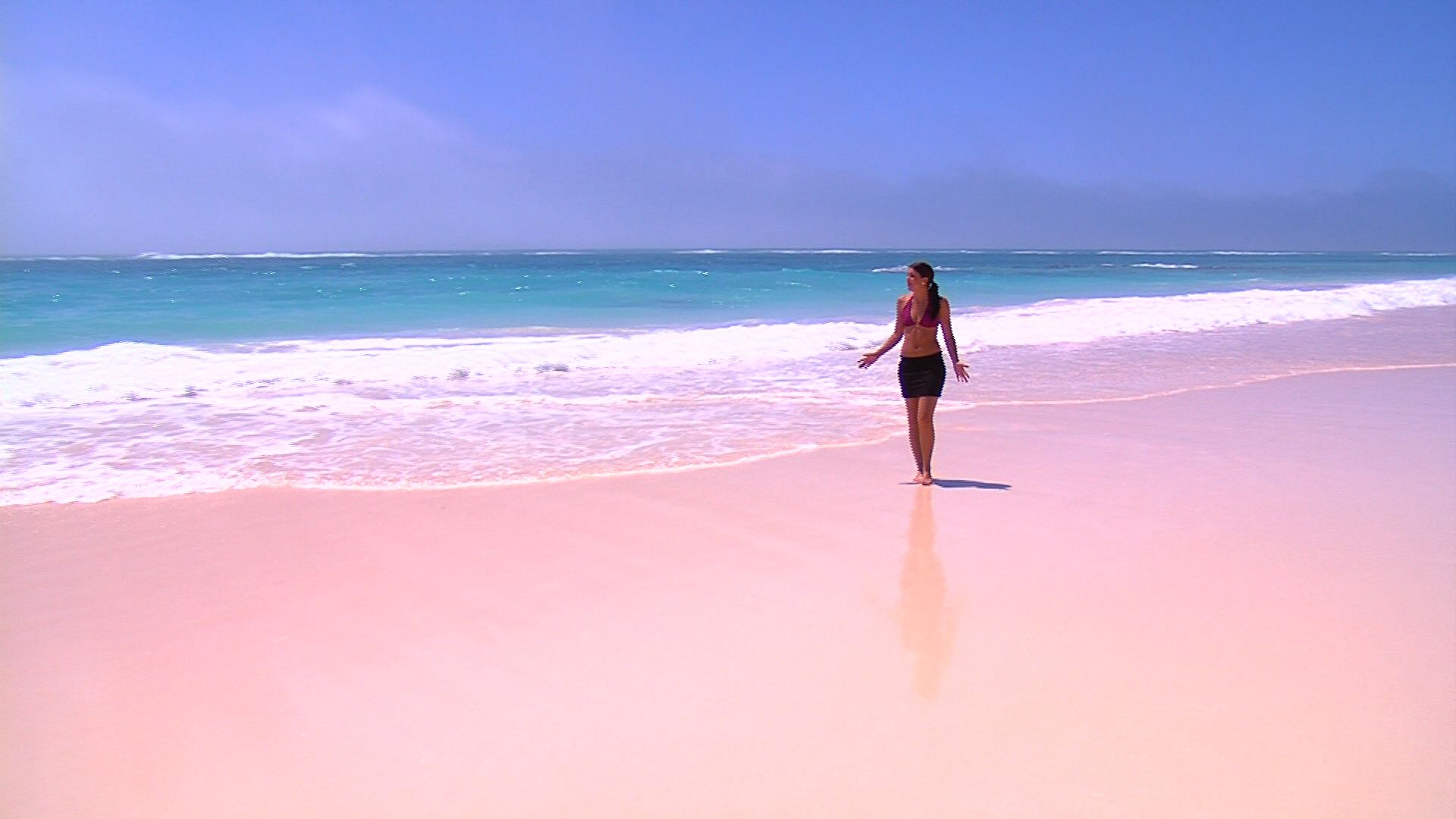 2.-Pink-Beach-Bahamas-1