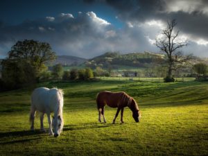 brecon-beacons-wales-cr-getty