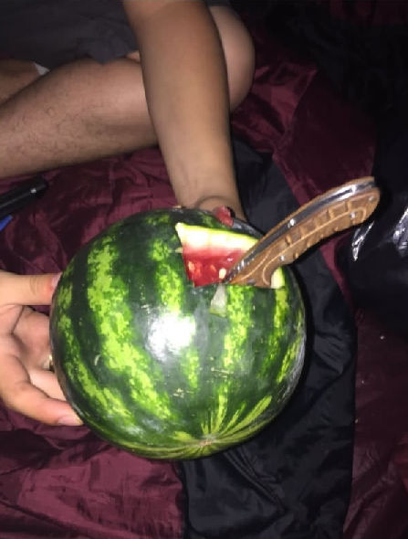 7 melon