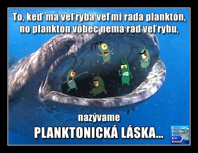 planktonická láska