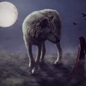 vlk, žena, mesiac