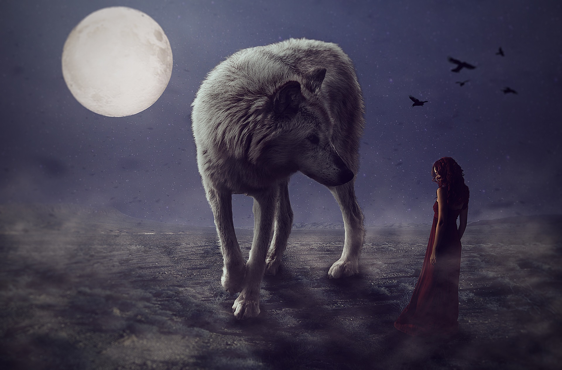 vlk, žena, mesiac