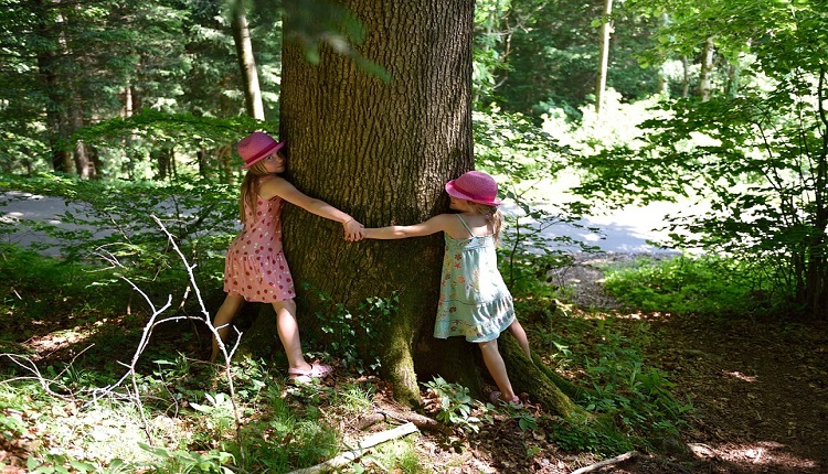 Objímanie stromov nie je bláznivé - viete, ako vám to pomôže?