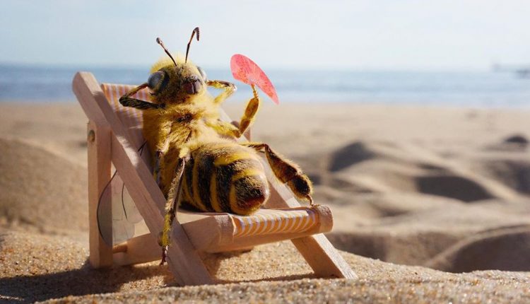 Včela na Instagrame