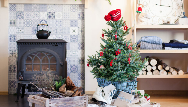 Vianočný stromček v kvetináči vám pripraví čarovné ekologické Vianoce