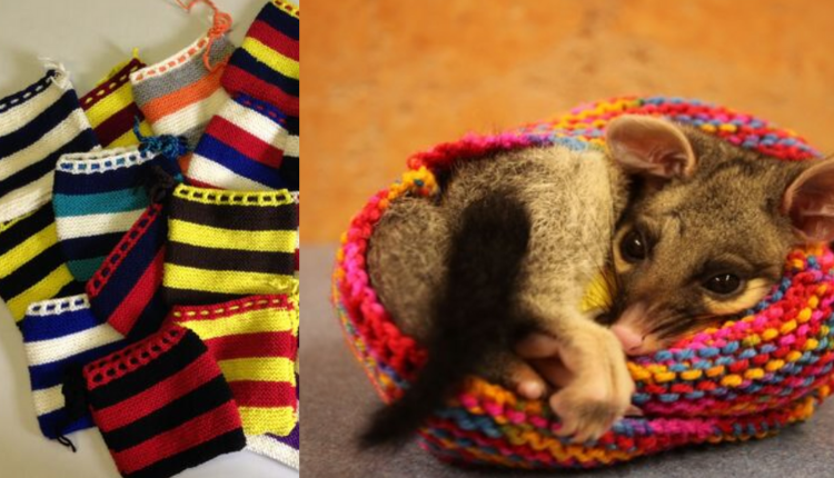 pletenie svetrov pre Austráliu
