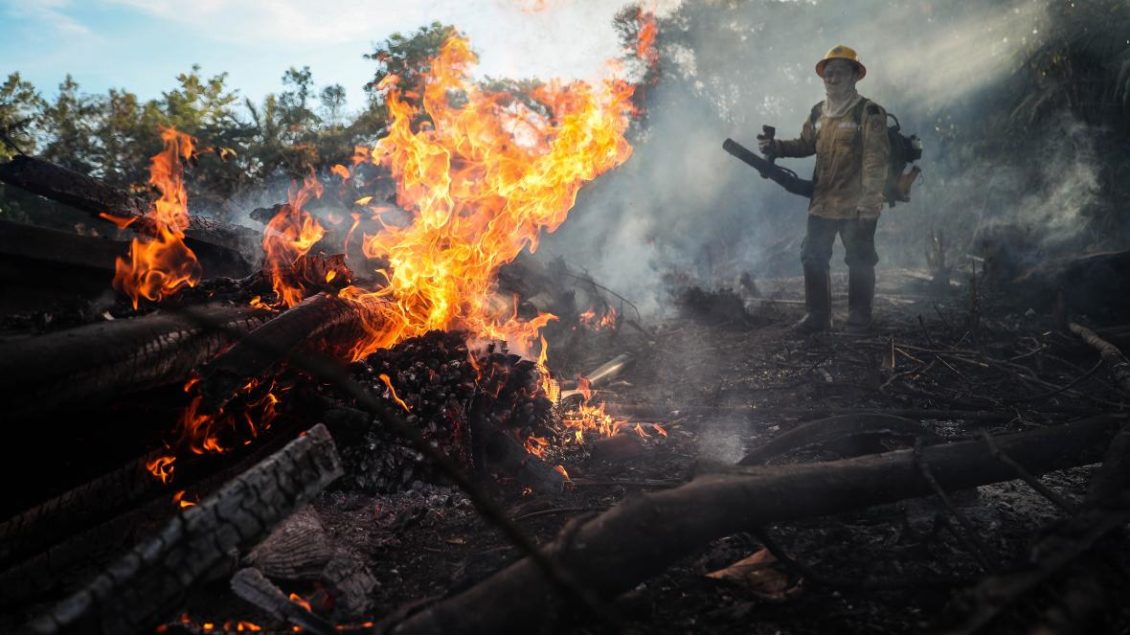 Amazonský dažďový prales ako hlavný producent uhlíka? Hrozí bod zlomu