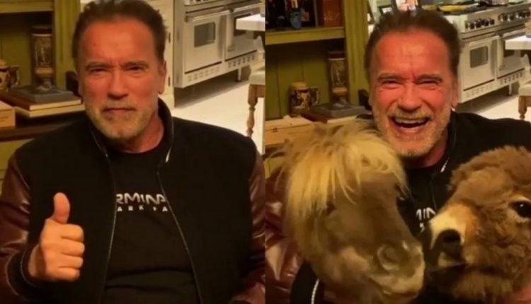 Arnold Schwarzenegger, poník a somár vyzývajú ľudí, aby ostali doma