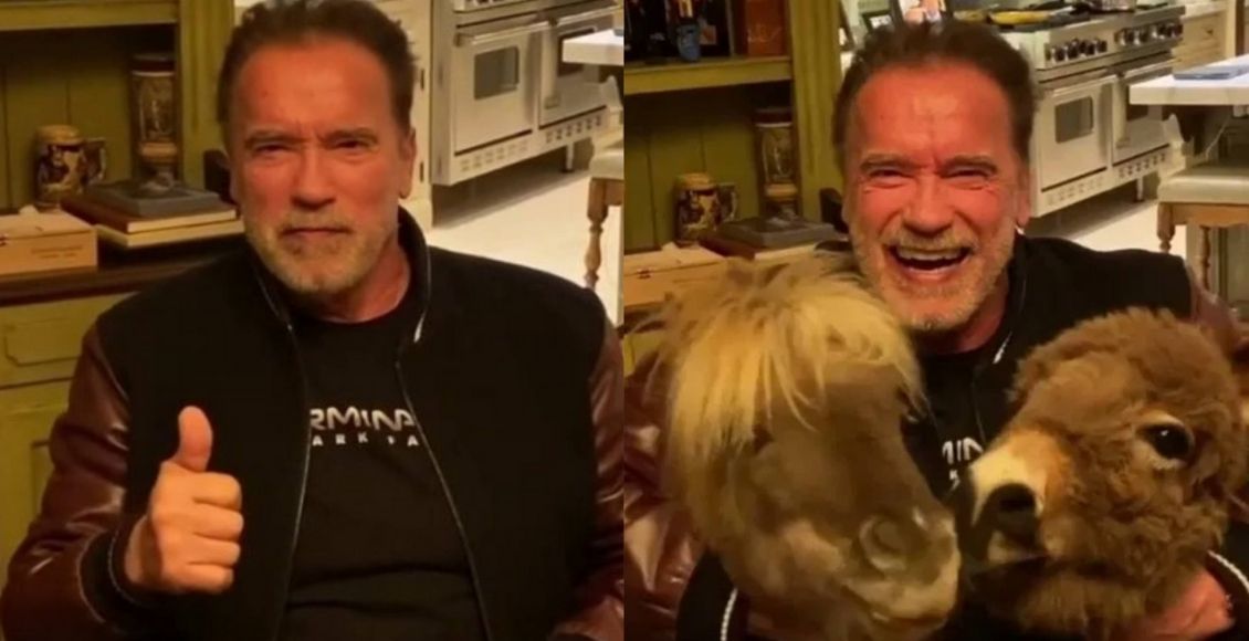Arnold Schwarzenegger, poník a somár vyzývajú ľudí, aby ostali doma