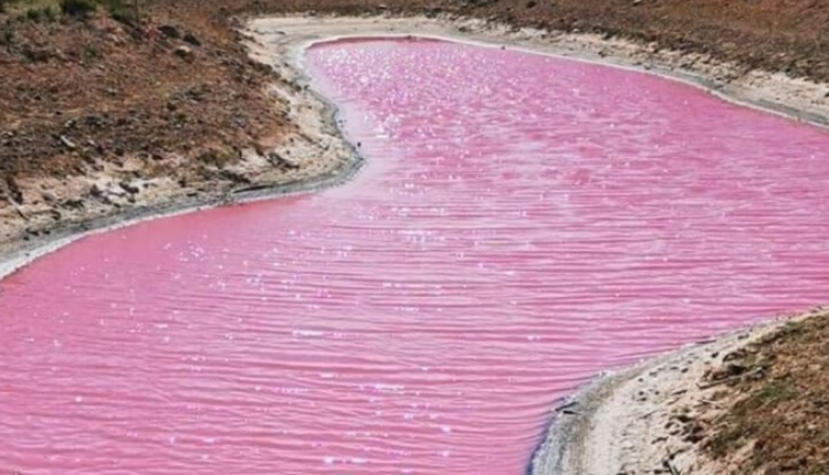 ružové jazero