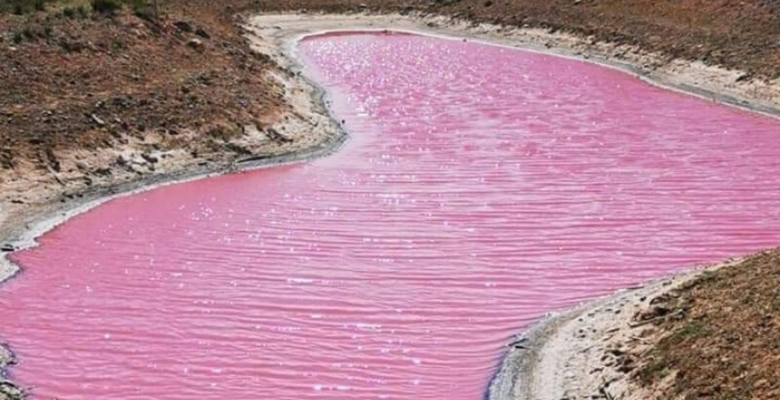 ružové jazero